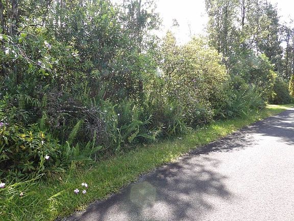 5th image of Tiki Ln Lot 40