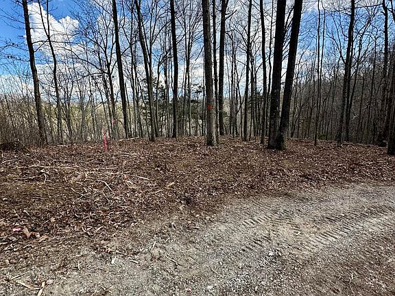 2nd image of 16 Malone Ridge Rd #16