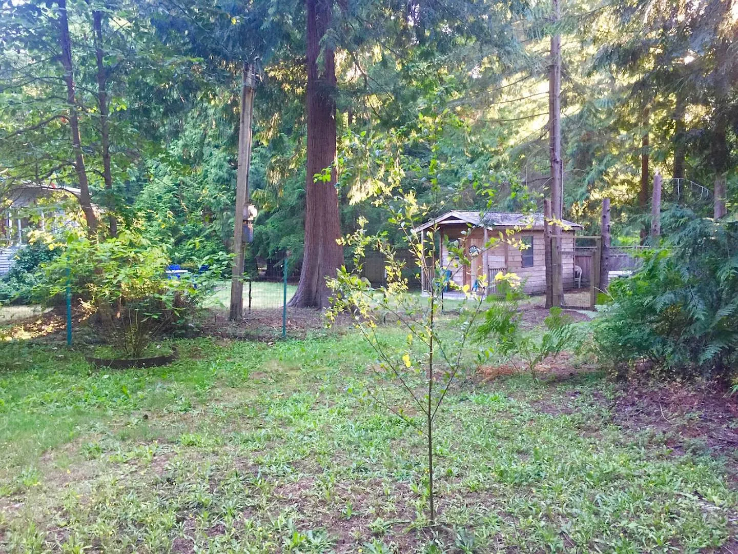 163 Burns Way photo 1