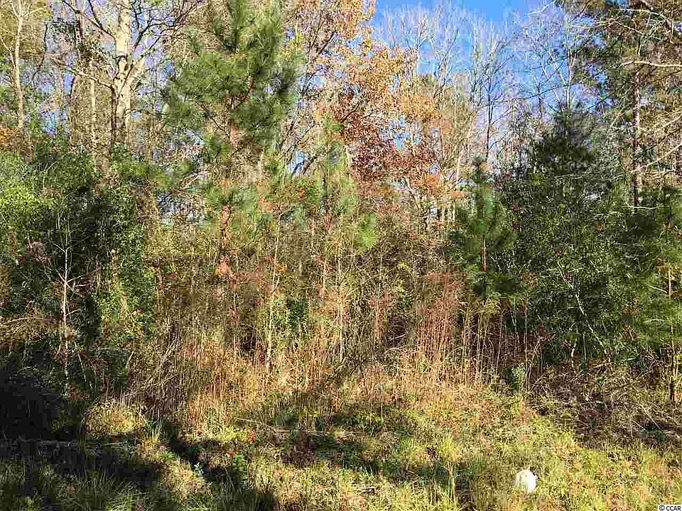 2nd image of TBD Bunyan Ln. #Tract C