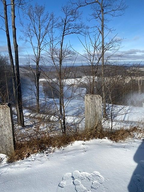 View of Happy Camper Trail