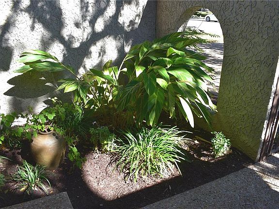 5th image of 10612 Spicewood Club Dr