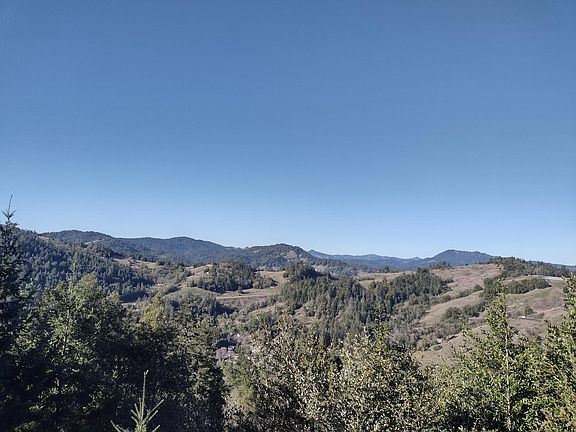 4th image of 50 Madrone Ln