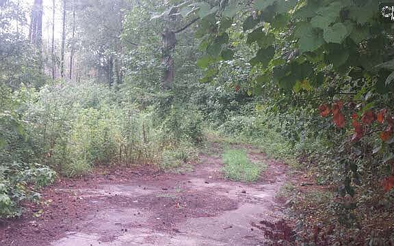 2nd image of 205 Brookgreen Dr