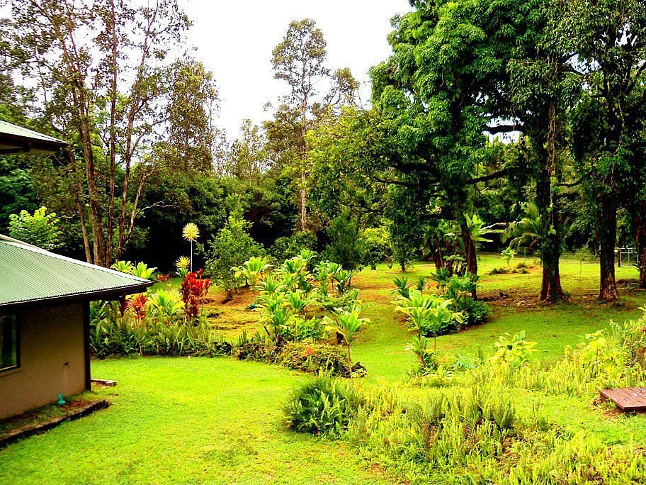 landscaped yard