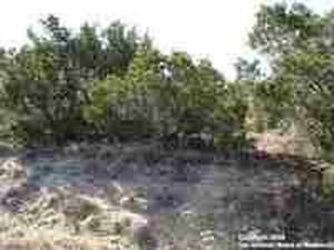 9910 Scenic View Dr, San Antonio, TX, 78255