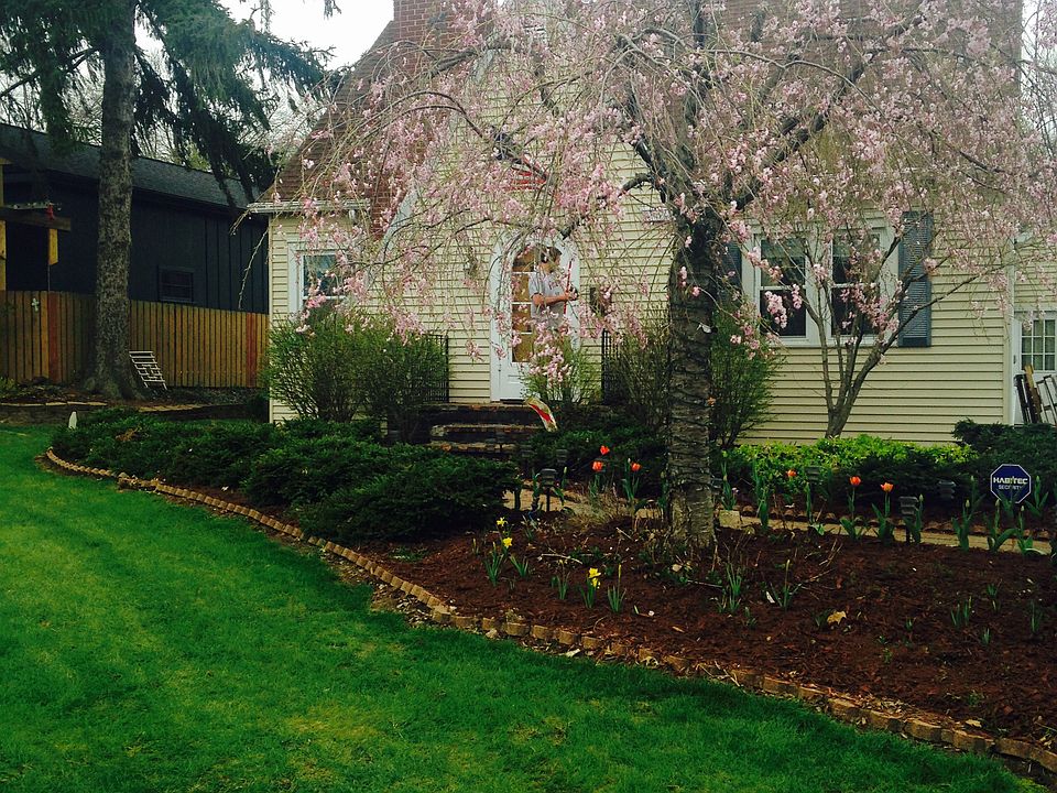 1st image of 235 Buckeye St
