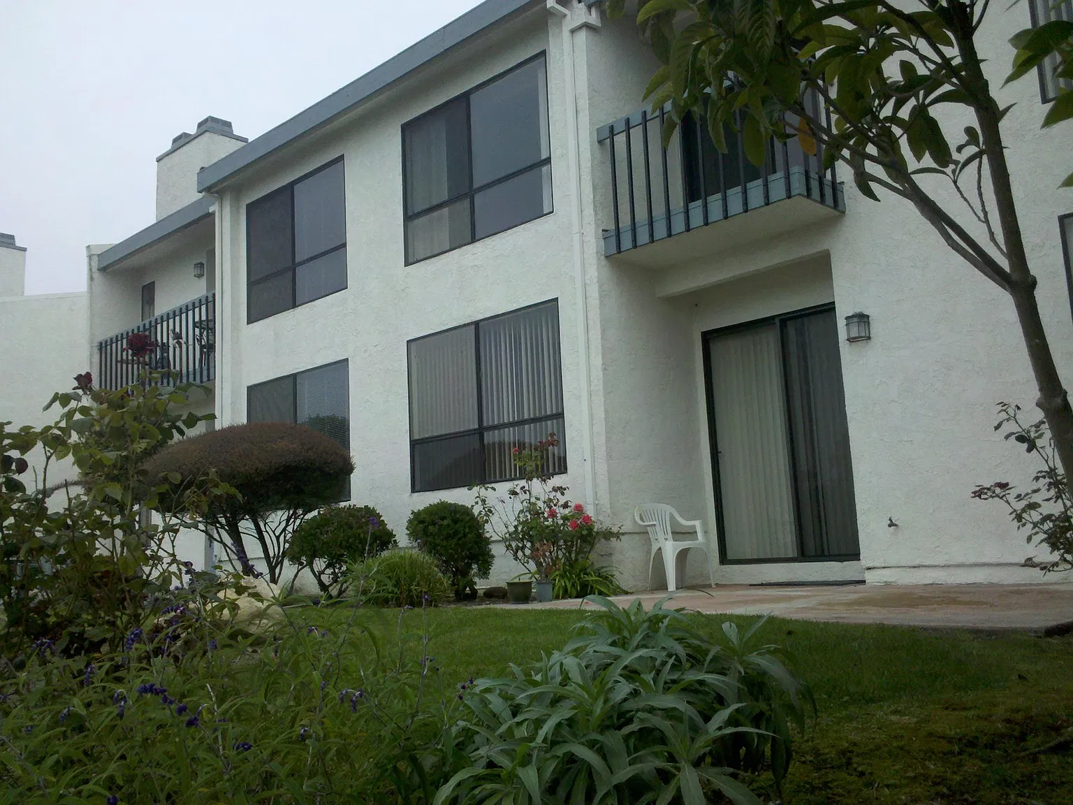 3 bed, 2.5 bath, 2450 sqft, $5,600 — Photo 4