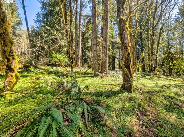 27170 E Salmon River Rd, Welches, OR 97067