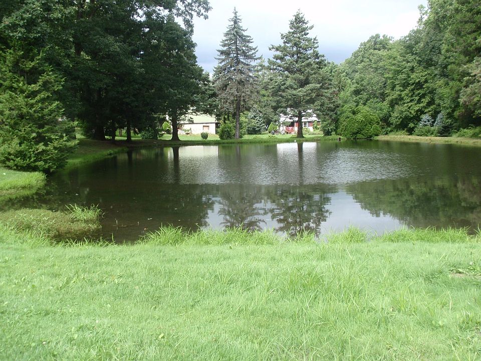 View of pond from mobile home