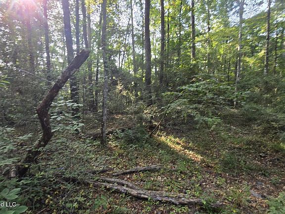 5th image of Stump Rd