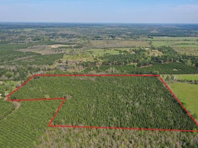 1619 Cr, Linden, TX, 75563