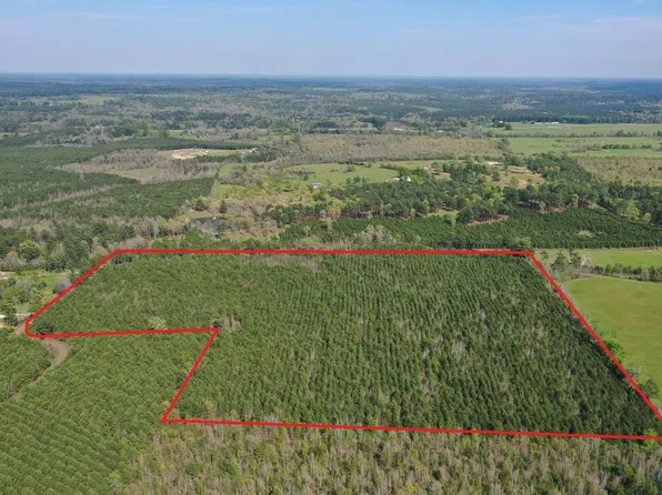 1619 Cr, Linden, TX 75563