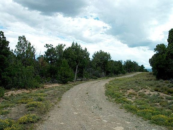 3rd image of Tbd Ragsdale Rd