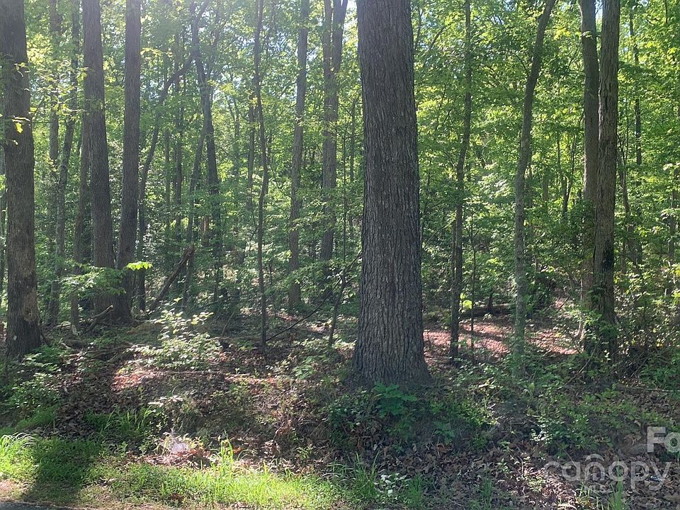 2nd image of 26 Lookout Tower Rd