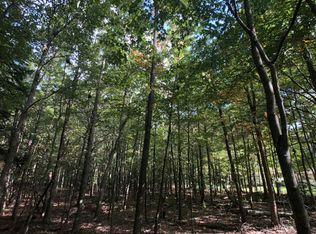 Fox Farm Rd, Manistee, MI 49660