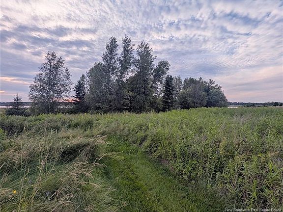 5th image of 883 Coverdale Rd #879