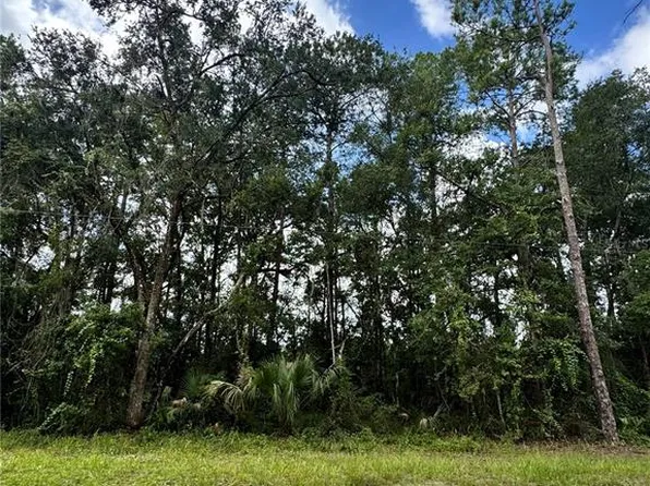 TBD NE 225TH STREET LOT 48, FORT MC COY, FL 32134
