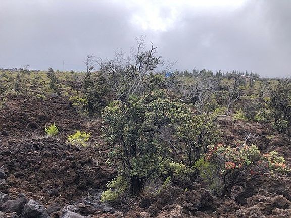 3rd image of Lei Pkwy Lot 4
