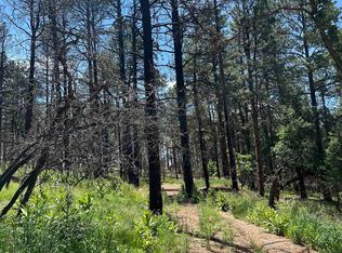 29 Don Jose Dr, Rociada, NM 87742