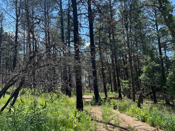 29 Don Jose Dr, Rociada, NM 87742