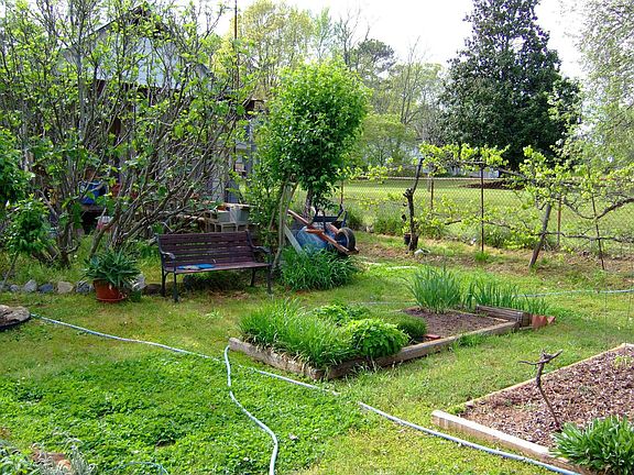 raised beds