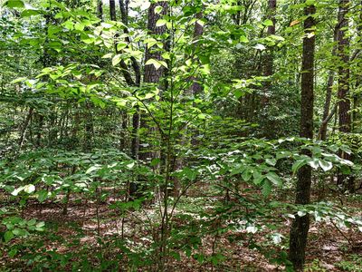 0 Hickory Fork Rd Lot 1E, Gloucester, VA, 23061