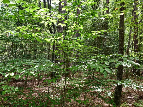 0 Hickory Fork Rd Lot 1E, Gloucester, VA 23061