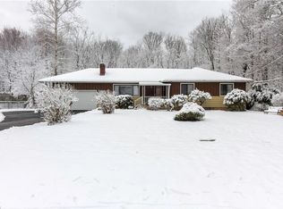 8114 Thorne Ave, Kirtland, OH 44094