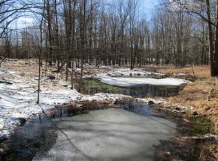 McGuire Rd, Conesville, NY 12076