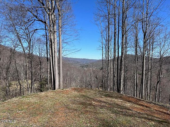 2nd image of Tbd Roan Springs Rd