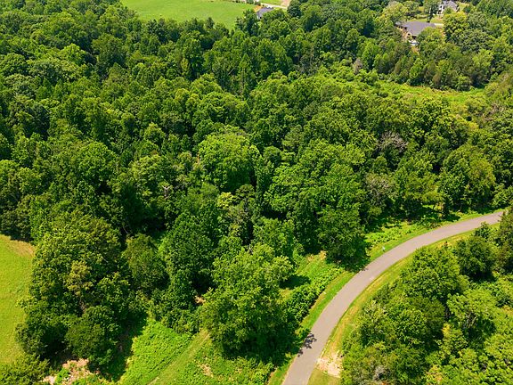 3rd image of LOT 11 Gallant Fox Xing Lot 11