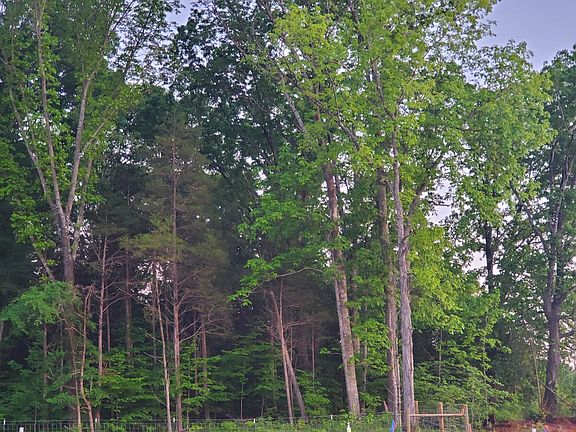 5th image of 317 Richmonds Retreat Blvd Lot 77