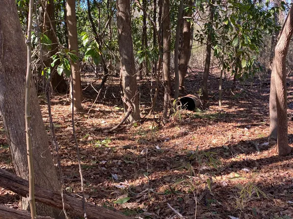 1906 Nelson Street, New Bern, NC 28562