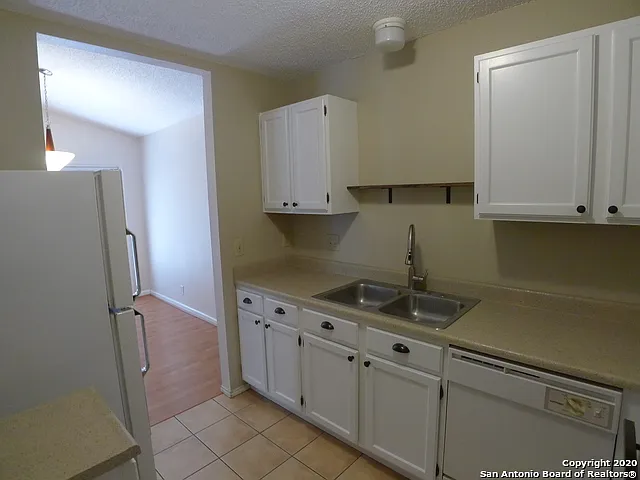 703 Meadow Frg — Photo 9