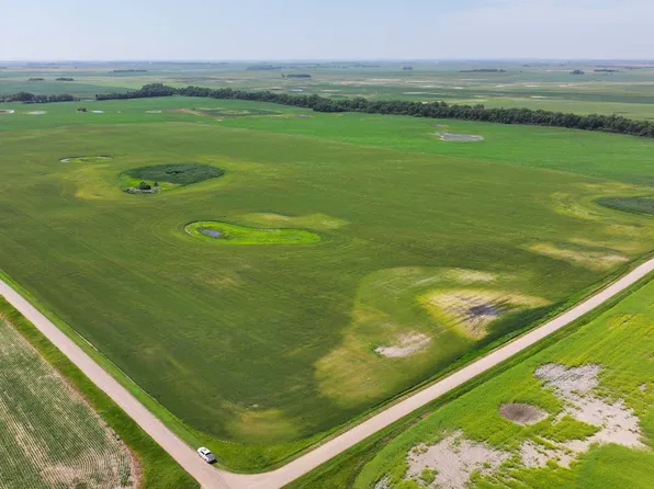 Land Auction Section 32 154 70 & 36 154 #71, Esmond, ND 58332