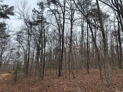 0 Edge Dr, Clinton, AR, 72031
