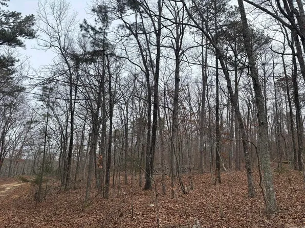 0 Edge Dr, Clinton, AR 72031