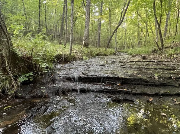 481 Hillbrook Dr, Linden, TN 37096