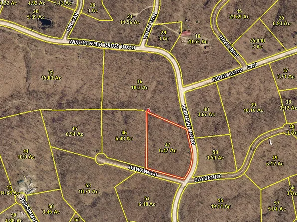 6.47 Acres Hawkweed Trail, Tunas, MO 65764
