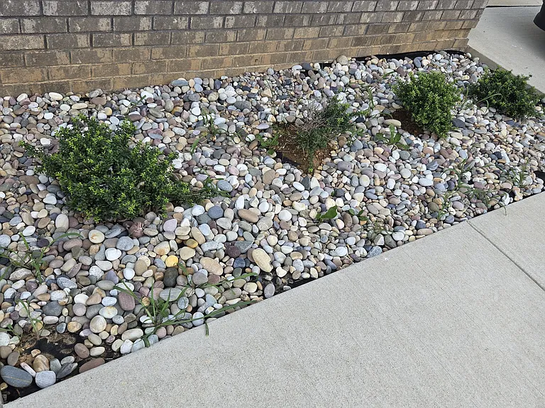 455 Cabernet Dr — Photo 7