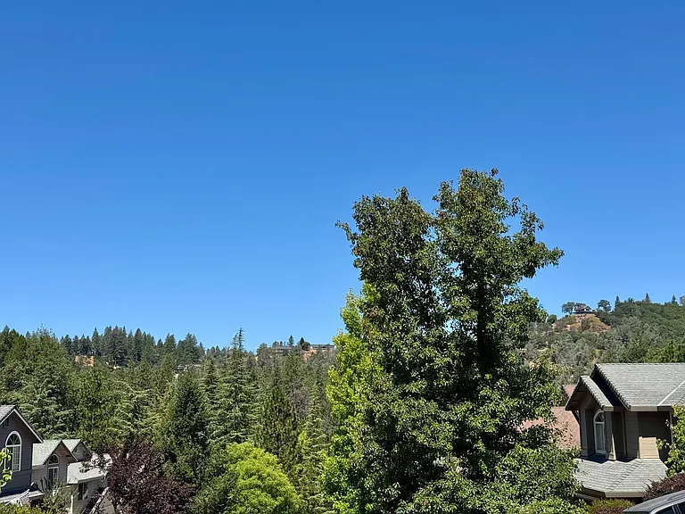 245 Incline Dr — Photo 39