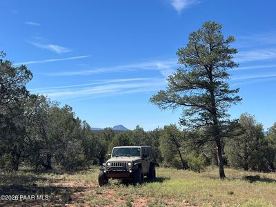5 Deer Droppings, Ash Fork, AZ, 86320