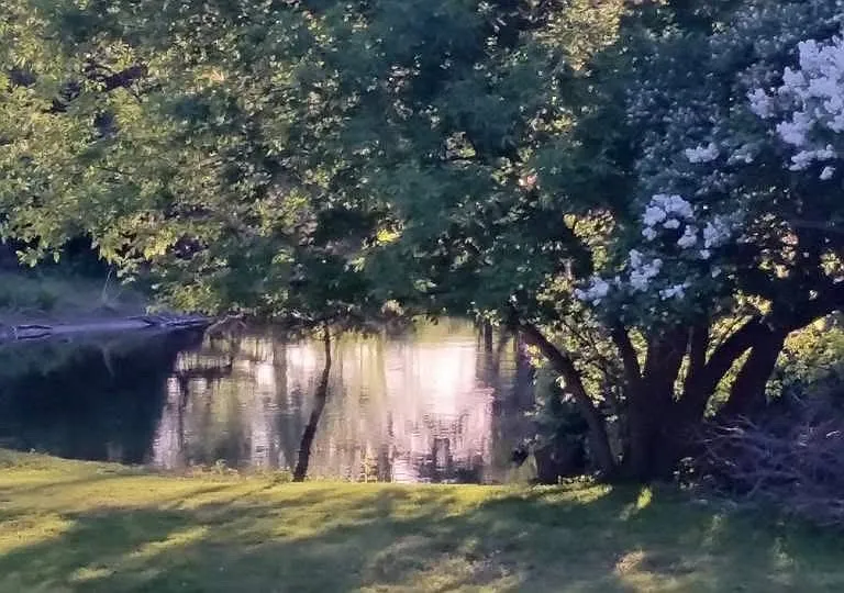Lehn Springs Dr — Photo 10