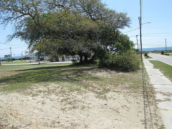 TMS#1560319033  Lot 30