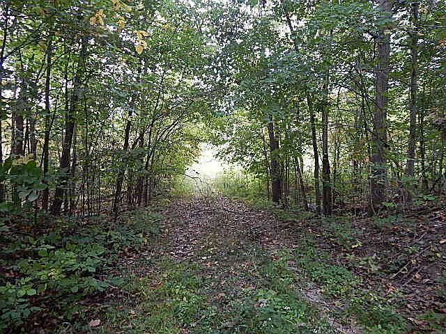 1st image of 10385 White Pine Hwy