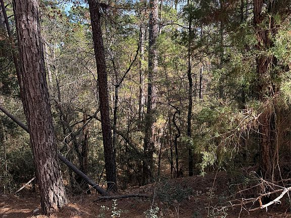 3rd image of LOT 266 Wainee Dr