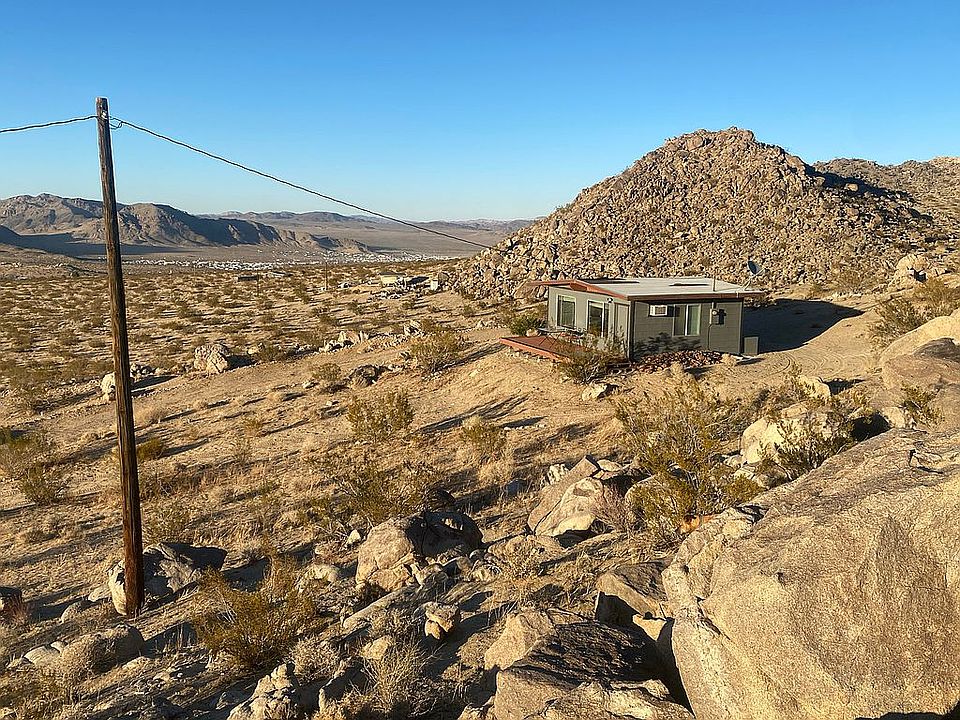 2nd image of 52080 Desert Daisy