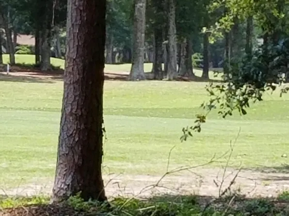 Lot 41 White Heron Court, Sunset Beach, NC 28468