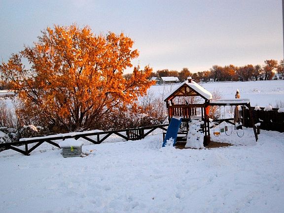 Backyard Winter